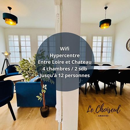 Le Choiseul - T5 Entre Loire Et Chateau Royal - Manoir De La Concorde 阿姆博斯 外观 照片