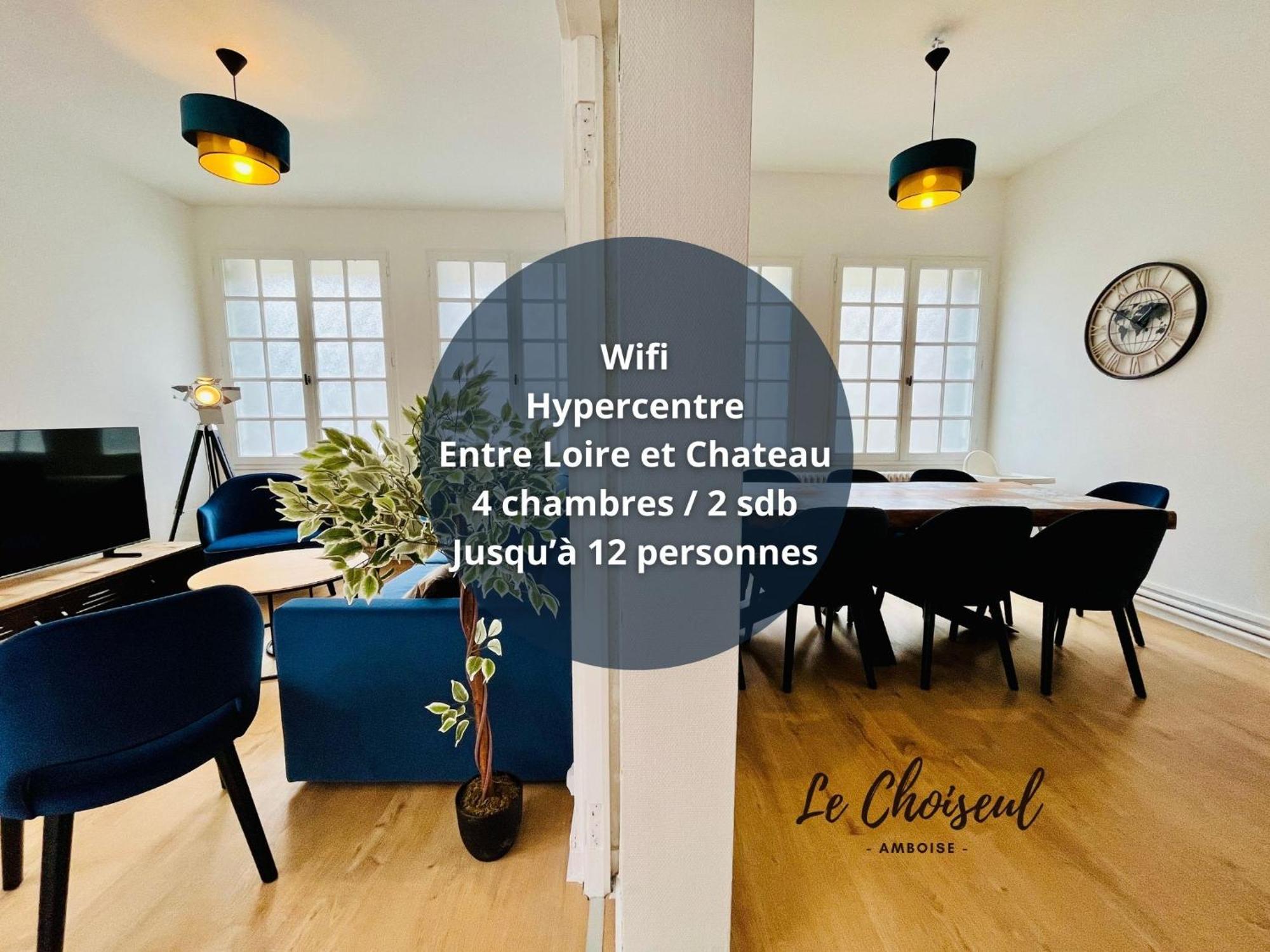 Le Choiseul - T5 Entre Loire Et Chateau Royal - Manoir De La Concorde 阿姆博斯 外观 照片